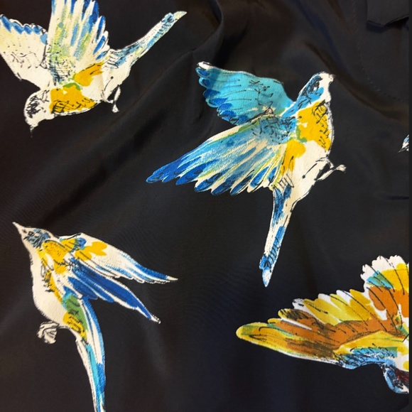 Zara black with blue and yellow birds high rise paperbag shorts NWT - Picture 4 of 14